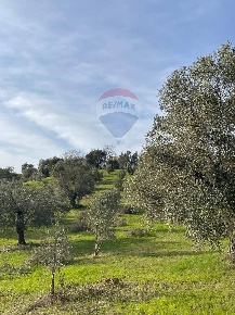 Foto Terreno agricolo in c.da Marinello, Cervicati in vendita