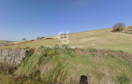 Foto Terreno agricolo in Località Montebello, Tuscania in vendita