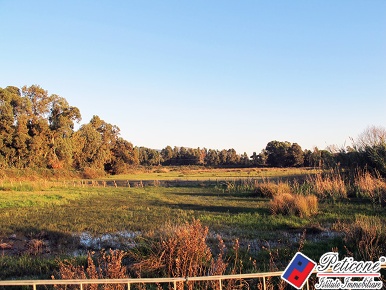Foto Terreno agricolo in Via flacca km 8400, Fondi di 64000 m² in vendita