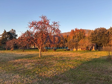Foto Terreno residenziale in via san savino, Assisi di 3000 m² in vendita