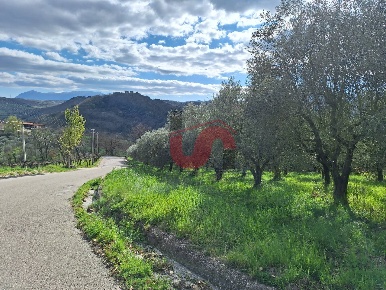 Foto Terreno agricolo in Contrada Palmenta, Foglianise di 10380 m²