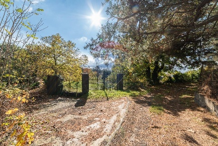 Foto Terreno agricolo in Contrada Marina, Adrano di 7000 m² in vendita