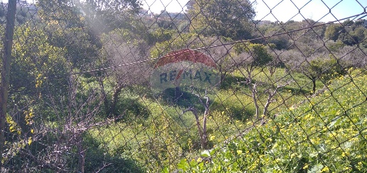 Foto Terreno agricolo in Via Sant'Elia, Gravina di Catania Centro