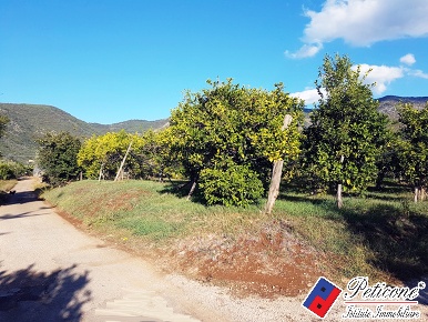 Foto Terreno agricolo in Via Madonna degli Angeli, Fondi di 3500 m²