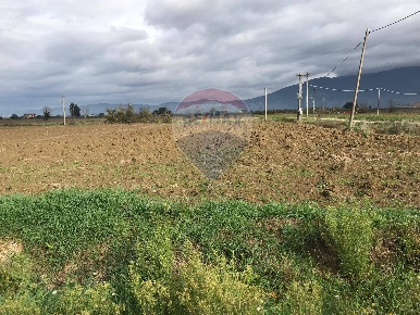 Foto Terreno agricolo in via ferla, Melilli di 10000 m² in vendita