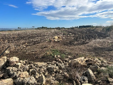 Foto Terreno agricolo a Siracusa Monasteri di 4432 m² in vendita