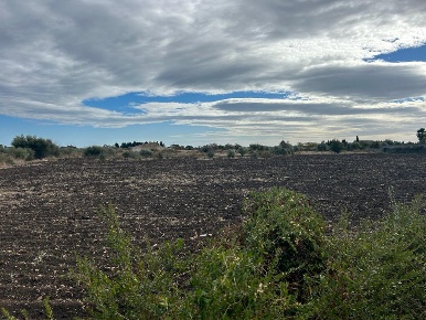 Foto Terreno agricolo a Siracusa Monasteri di 6208 m² in vendita