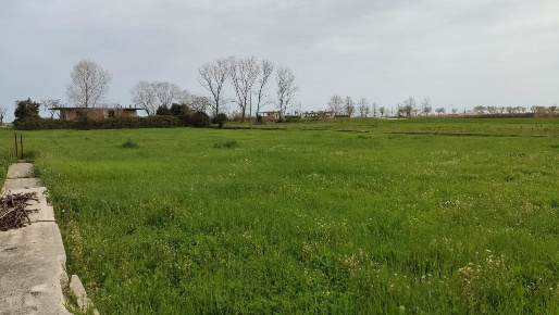 Foto Terreno industriale a Martinsicuro Centro di 3880 m² in vendita