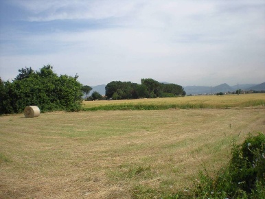 Foto Terreno agricolo in Via Carrara, Capannori Gragnano - Lappato