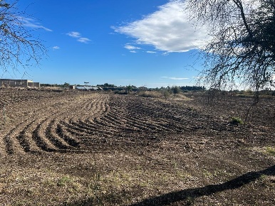 Foto Terreno agricolo a Siracusa Monasteri di 24649 m² in vendita