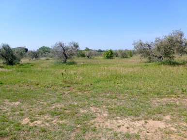 Foto Terreno edificabile in Via Monte Marmolada 20, Cecina Cecina Centro