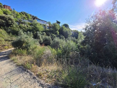 Foto Terreno edificabile in san giacomo, Camporosso San Giacomo di 85 m²