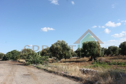 Foto Terreno industriale in S.S. 16 uscita zona industriale monopoli,