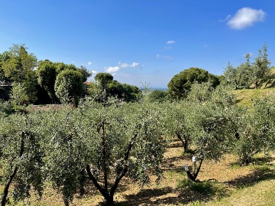 Foto Terreno edificabile in Strada Provinciale Camminata 4, di 100 m²