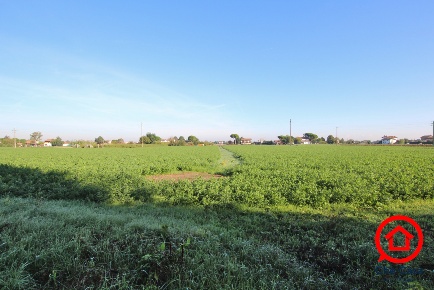 Foto Terreno agricolo in Via Mariana, Cesena Gattolino - Capannaguzzo