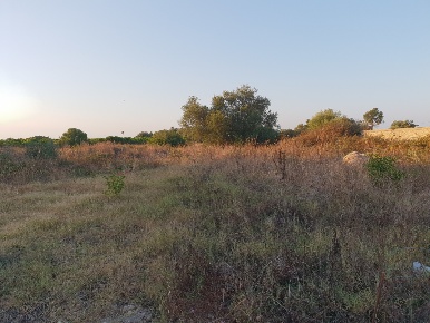 Foto Terreno edificabile a Siracusa Pantanelli - Elorina di 1000 m²