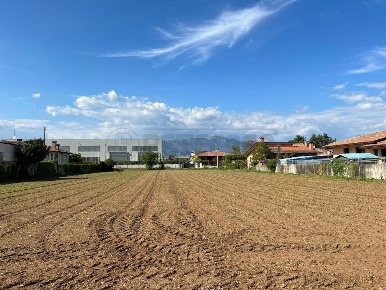Foto Terreno industriale a Cassola Centro di 3000 m² in vendita