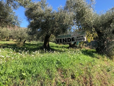 Foto Terreno edificabile in Via Antonio Gramsci, Marcellina in vendita