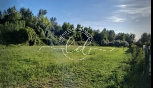 Foto Terreno agricolo a Seravezza Centro di 1940 m² in vendita