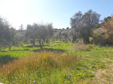 Foto Terreno agricolo in Via del Romitorio 71, Mentana di 15000 m²