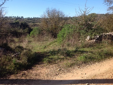 Foto Terreno agricolo a Siracusa di 3000 m² in vendita