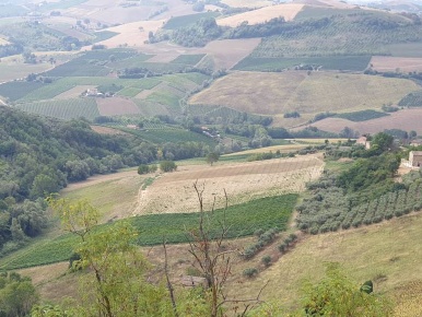 Foto Terreno agricolo a Carassai in vendita