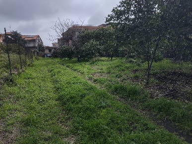 Foto Terreno agricolo a Acireale Pennisi, Santa Maria Ammalati, Piano d'Api