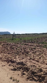 Foto Terreno agricolo in Strada Porto Ferro, Sassari La Corte - Campanedda