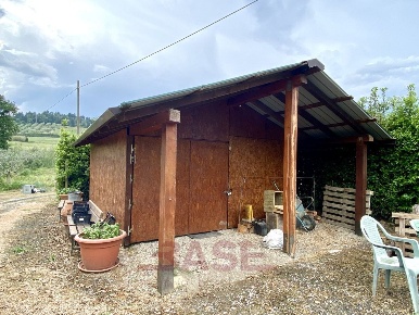 Foto Terreno agricolo in Via San Rocco, Bibbona Centro di 10000 m²