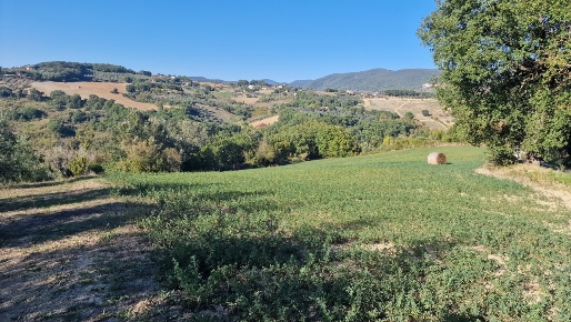Foto Terreno agricolo in Via Sasso Glorioso 6, Lugnano in Teverina