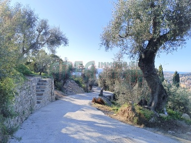 Foto Terreno agricolo in Via Fanny Roncati Carli, Imperia Oneglia di 110 m²