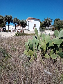 Foto Terreno agricolo a Siracusa Plemmirio di 1760 m² in vendita