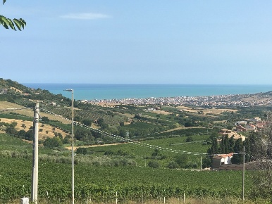 Foto Terreno agricolo a Colonnella di 12000 m² in vendita