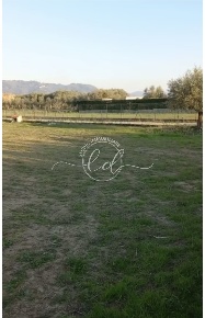 Foto Terreno agricolo a Pietrasanta di 3570 m² in vendita