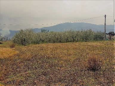 Foto Terreno agricolo in Via per Corte Sandori 134A, Lucca Sant'Anna