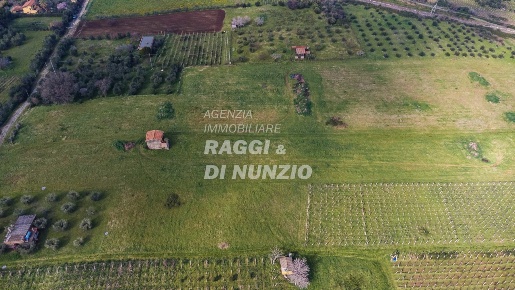 Foto Terreno agricolo in Via delle Selve di Pallotta, Monte Compatri