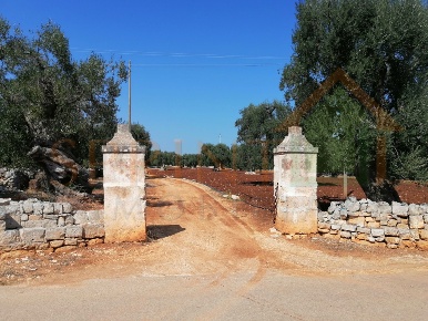 Foto Terreno agricolo a Monopoli di 12000 m² in vendita