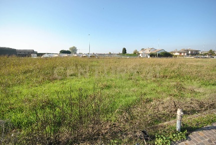 Foto Terreno edificabile in Via Degli Scaligeri, Oppeano di 1006 m²