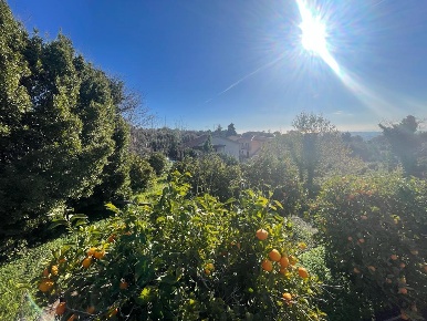 Foto Terreno industriale a Trecastagni di 13000 m² in vendita