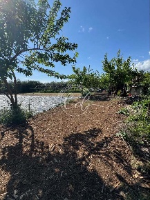 Foto Terreno agricolo a Pietrasanta di 1990 m² in vendita