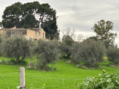 Foto Terreno agricolo in favarella, Caltanissetta Centro in vendita