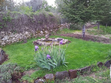 Foto Terreno agricolo in Via Fregionaia, Lucca Nozzano - Arliano di 800 m²