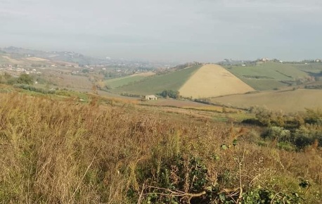 Foto Terreno agricolo in Castellaro, Borghi di 23819 m² in vendita