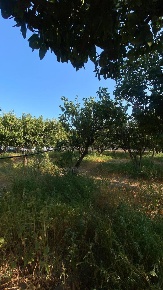 Foto Terreno industriale in Via Notaro 18, Melito di Porto Salvo di 1330 m²