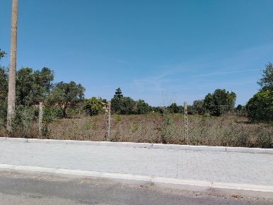 Foto Terreno edificabile in Via Stradone del Sandalo 47, Anzio di 10000 m²