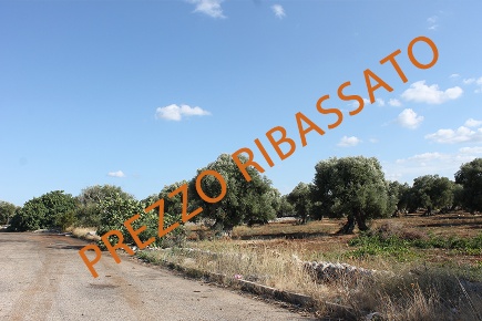 Foto Terreno industriale in Strada Statale 16 Uscita Zona Industriale,