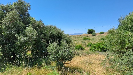Foto Terreno agricolo a Settimo San Pietro di 6595 m² in vendita