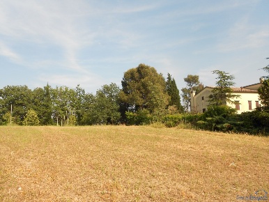 Foto Terreno agricolo in Via Castellaccio, Rimini Sant'Aquilina di 30000 m²