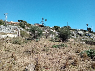 Foto Terreno agricolo a Siracusa Plemmirio di 5780 m² in vendita