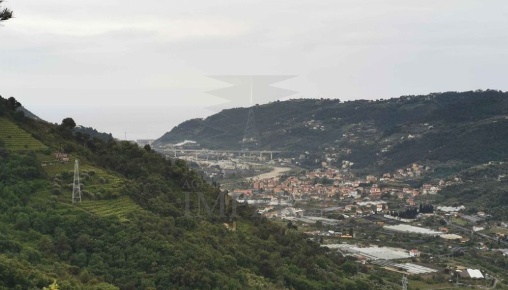 Foto Terreno agricolo in STRADA VICINALE ELLA CRESTA, San Biagio della Cima